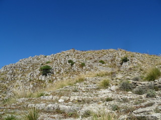 nte Venere-30-07-2020 09